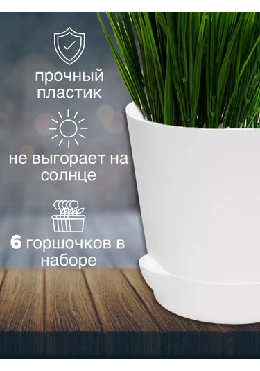 Interm Küçük Kaktüs Saksısı, Tabaklı, Saksı Seti 0,4 L 362274406