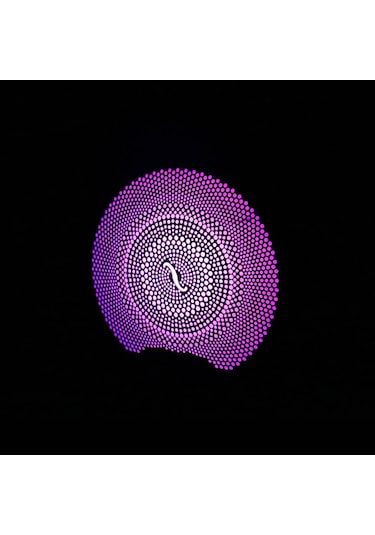 Mercedes W213 Uyumlu Yedek Parça Işıklı Hoparlör Kapağı