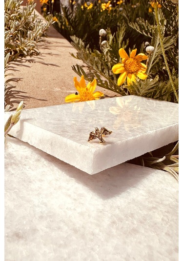 Eagle Kartal Kuş Model Şık Altın Renk Piercing Tragus Helix Çelik Stainless Steel Altın