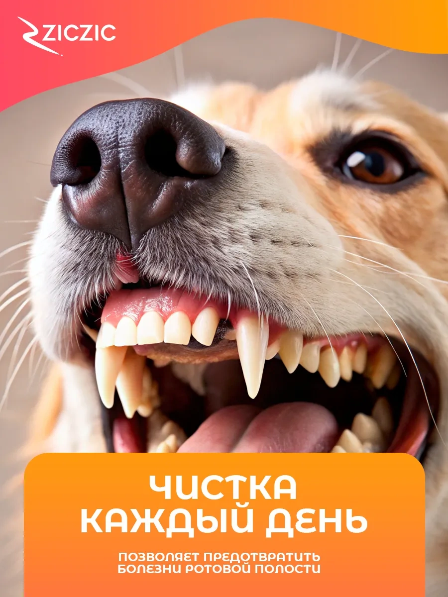 Ziczic Köpekler Ve Kediler İçin Parmak Dişi Diş Bezi Mendilleri 304415287