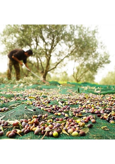 5x5 Metre Zeytin Sergisi Zeytin Toplama Filesi Fındık Fıstık Örtüsü Gölgelik Dut Meyve Sergisi Taban Örtüsü