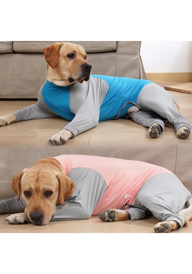 Geeksen Köpekler İçin Dört Ayaklı Sweatshirt, Esnek Kumaş, Renkli Eşleşme, Yumuşak Fit, Turtleneck - M Mavi/gri