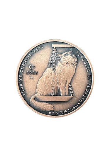 Agakulche Nasreddin Hoca Bronz Sikke Coin