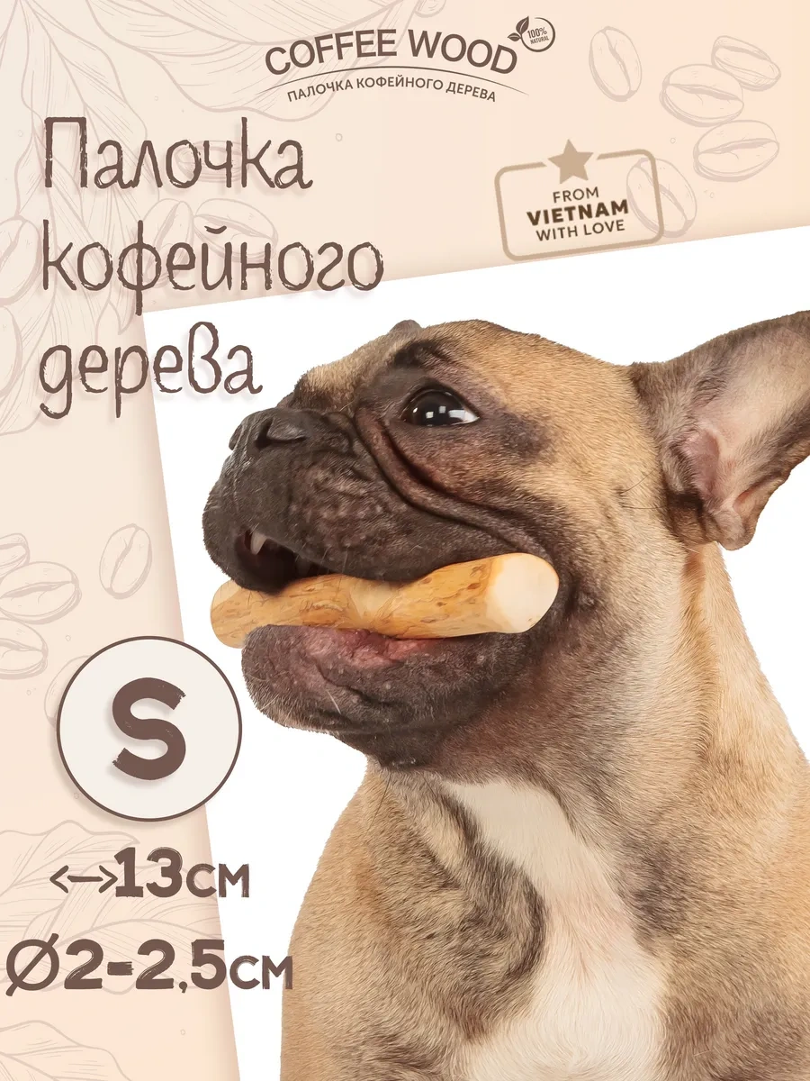 Coffee Wood Kahve Ağacı Çubuk S 103753781