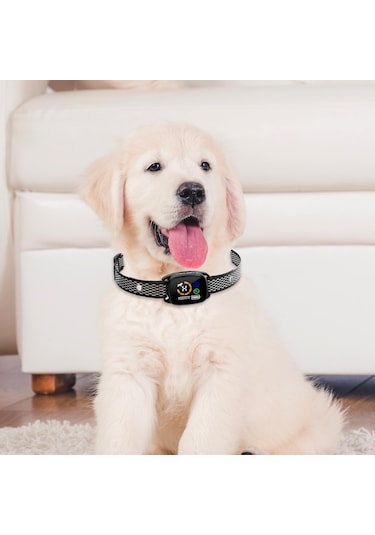 Homyl Akıllı Anti Havlama Tasması Köpek Küçük Orta Büyük