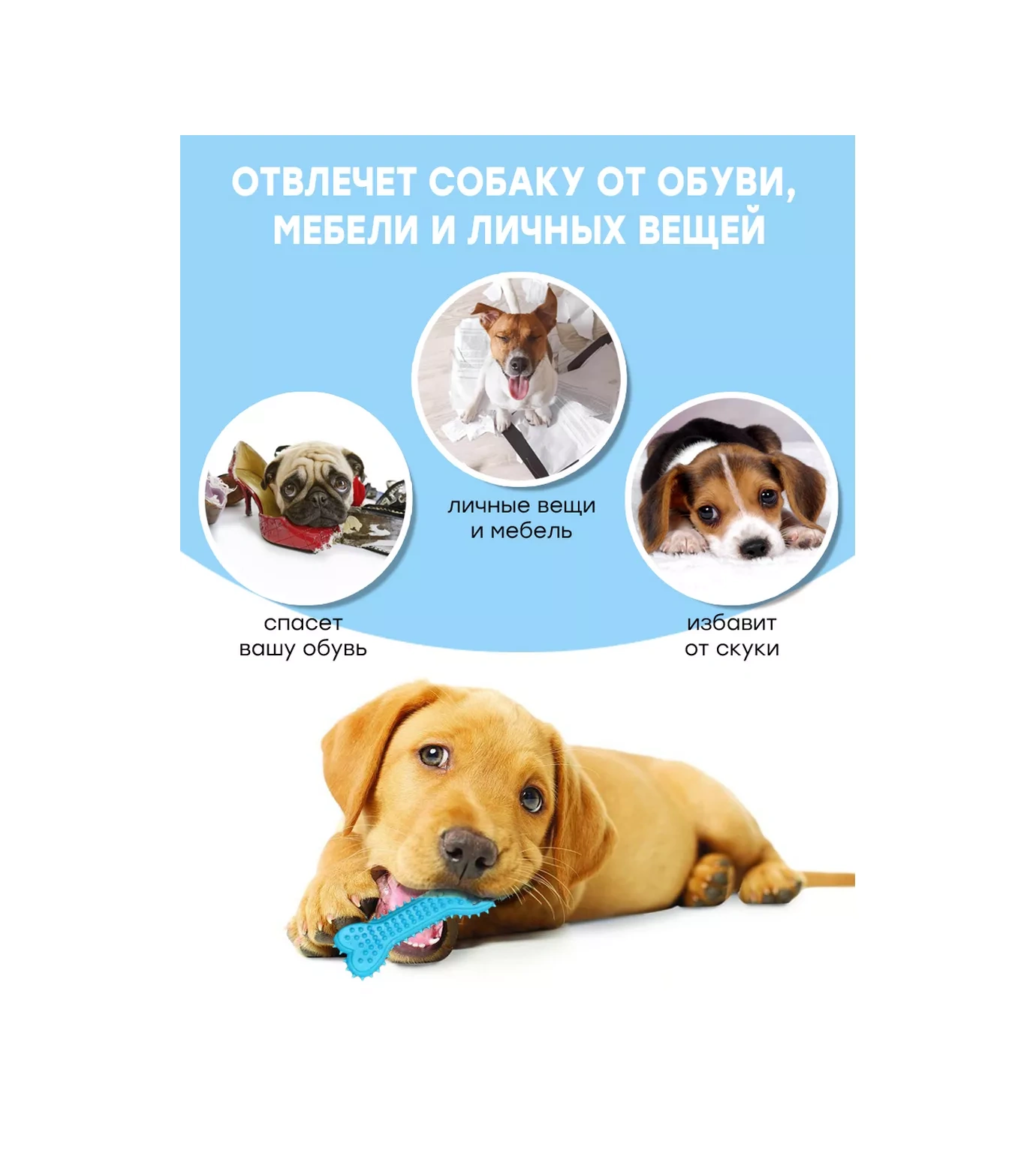 Fan Pets Küçük Ve Orta Irk Köpekler Ve Yavrular İçin Oyuncak Seti 76764519