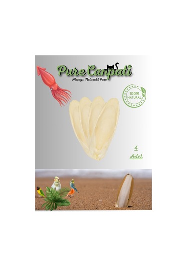 Purecanpati 4 Adet Temizlenmiş Mürekkep Balığı Kalamar Kemiği 7
