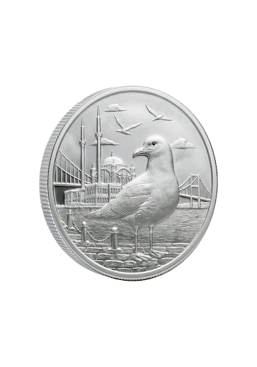 Agakulche İstanbul Martısı Gümüş Sikke Coin