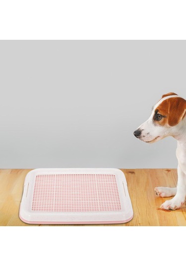 Homyl Küçük Köpekler Için Köpek Lazımlık Tuvalet Pembe