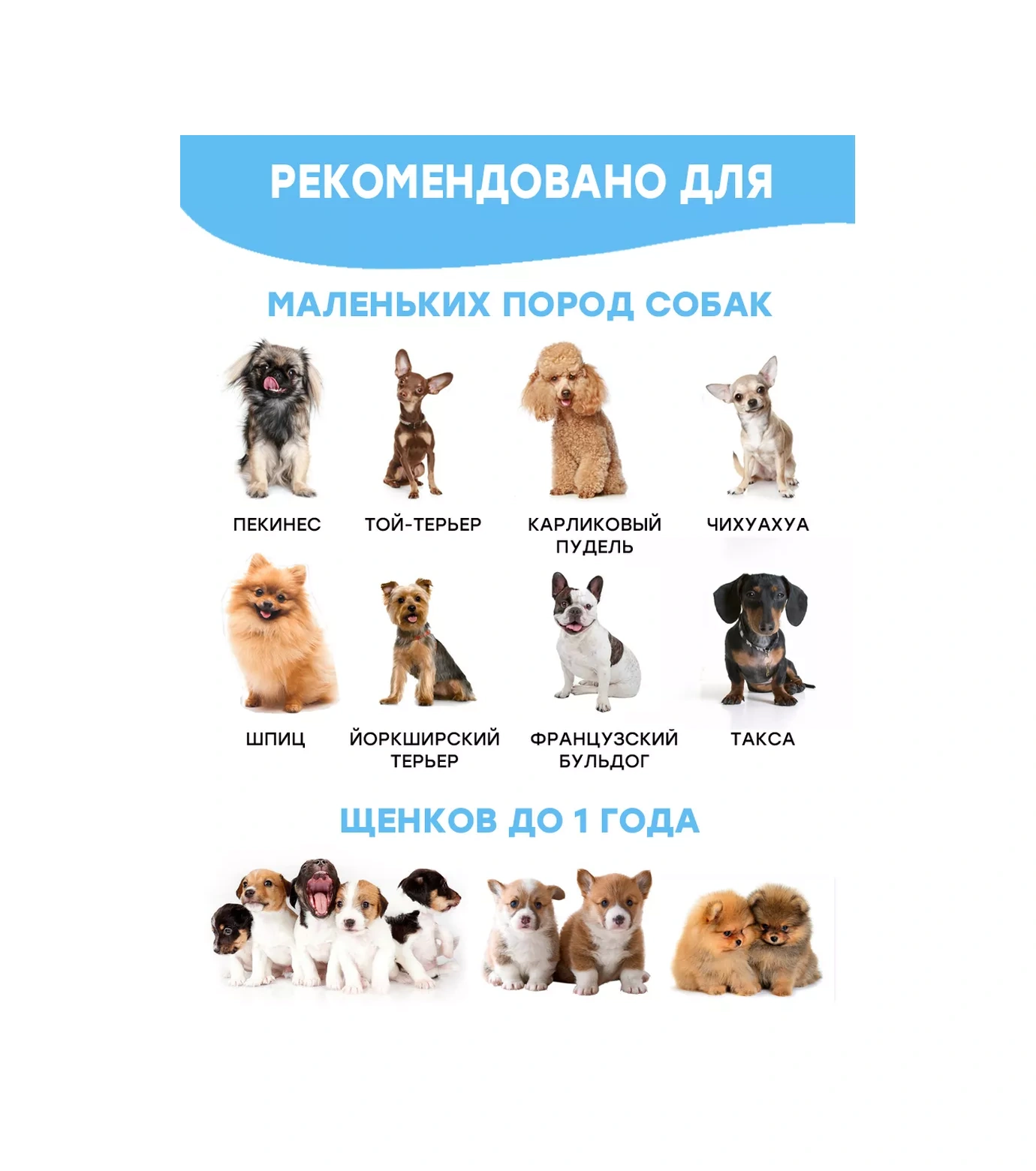 Fan Pets Küçük Ve Orta Irk Köpekler Ve Yavrular İçin Oyuncak Seti 76764519