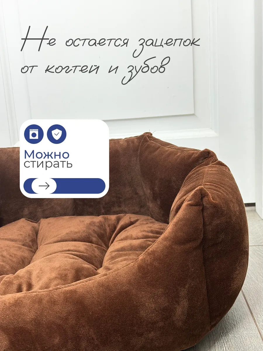 Animalia Kedi Ve Köpekler İçin Yatak 322282162