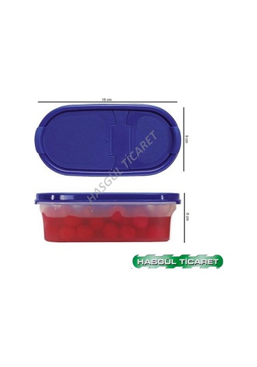 Tupperware Oval 500 Ml Kuru Gıda Saklama Kabı Oval 1 Hsgl N1142881