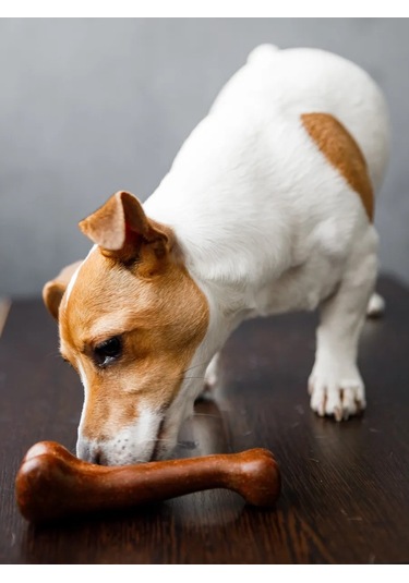 S.dream Köpekler İçin Dayanıklı Kemik Oyuncak 177312362