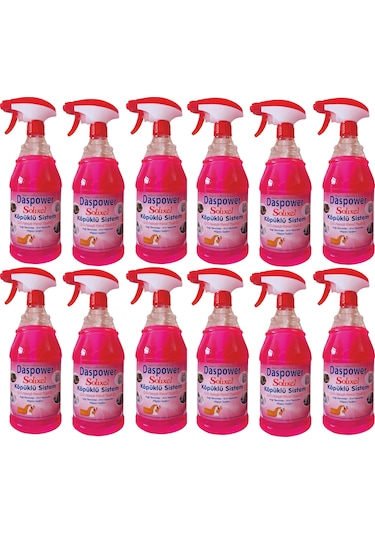 Solixel Daspower Çok Amaçlı Genel Temizlik 12 x 1 L