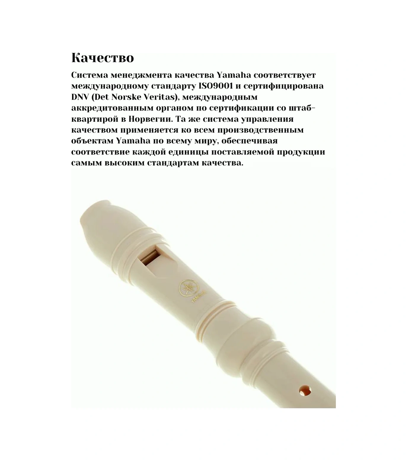 Yamaha Yamaha Blok Flüt Müzikal Enstrümanı 154430358