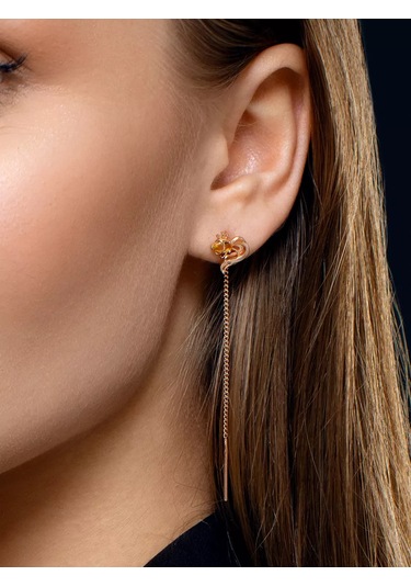 Sılver Whale Uzun Pırlanta Küpeler Gümüş Gecikme Yivli. 216920801 Altın