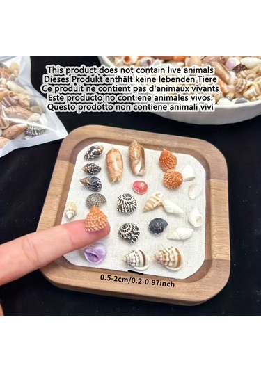 Willowhaven 500g Renkli Mini Kabuk Kum Karışımı Dıy El Sanatları Akvaryum Dekorasyon