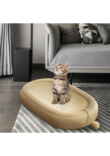 Suntek Küçük Orta Kedi Evcil Hayvan Doğum Günü Büyük