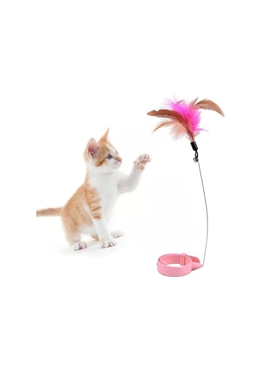 Boyuna Takılan Kedi Oyun Oltası