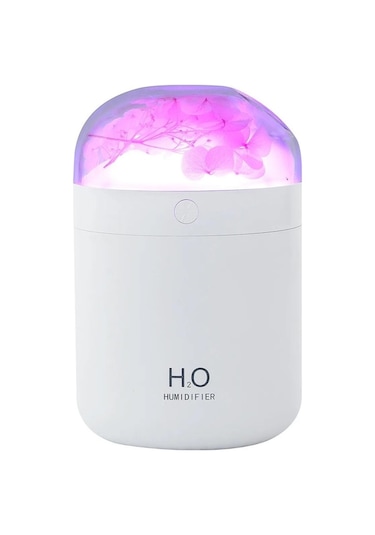 Novahub Aeonium Nemlendirici Mini Ev Yatak Odası Hidrasyon Masaüstü Püskürtücü Aromaterapi Ortam Işığı Nemlendiriciler Difüzör Uçucu Yağ - Beyaz