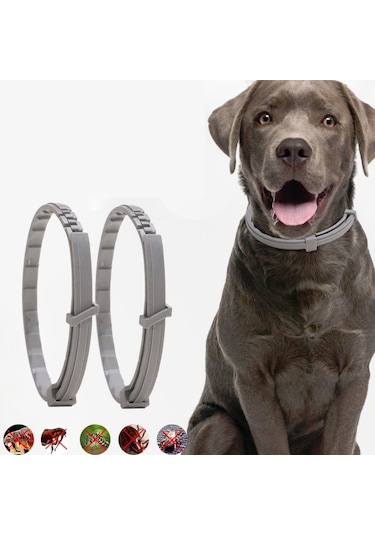 Pet Pire Ve Anti-bit Yaka Pet In Vitro Böcek Kovucu Yüzük, Boyut: Küçük Köpek / 38cm