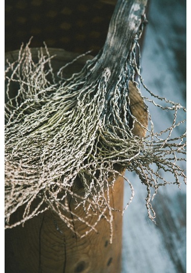 Spasso %60 Tencel Lyocell %40 Pamuk Dijital Saten Nevresim Takımı Aile Seti