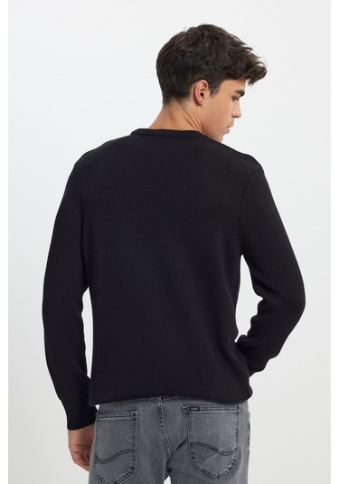 Regular Fit Normal Kesim Bisiklet Yaka Siyah Triko L242474001 Siyah