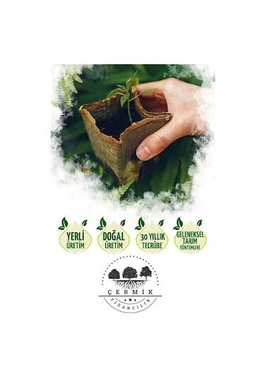 Organik Kişniş Tohumu 10 GR