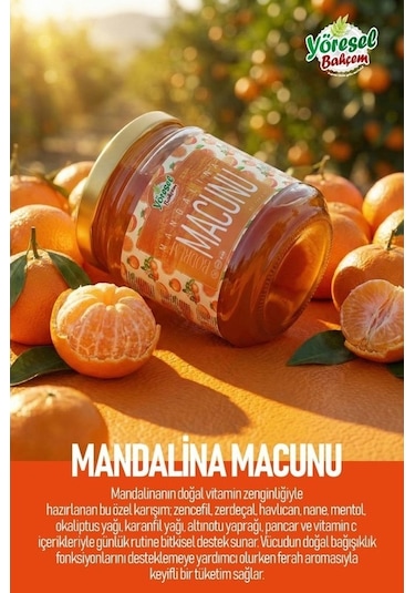 Yöresel Bahçem Bodrum Mandalina Macunu