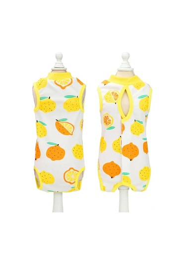 Best Golden Monkey Kediler İçin Ameliyat Sonrası Örtü 95680511