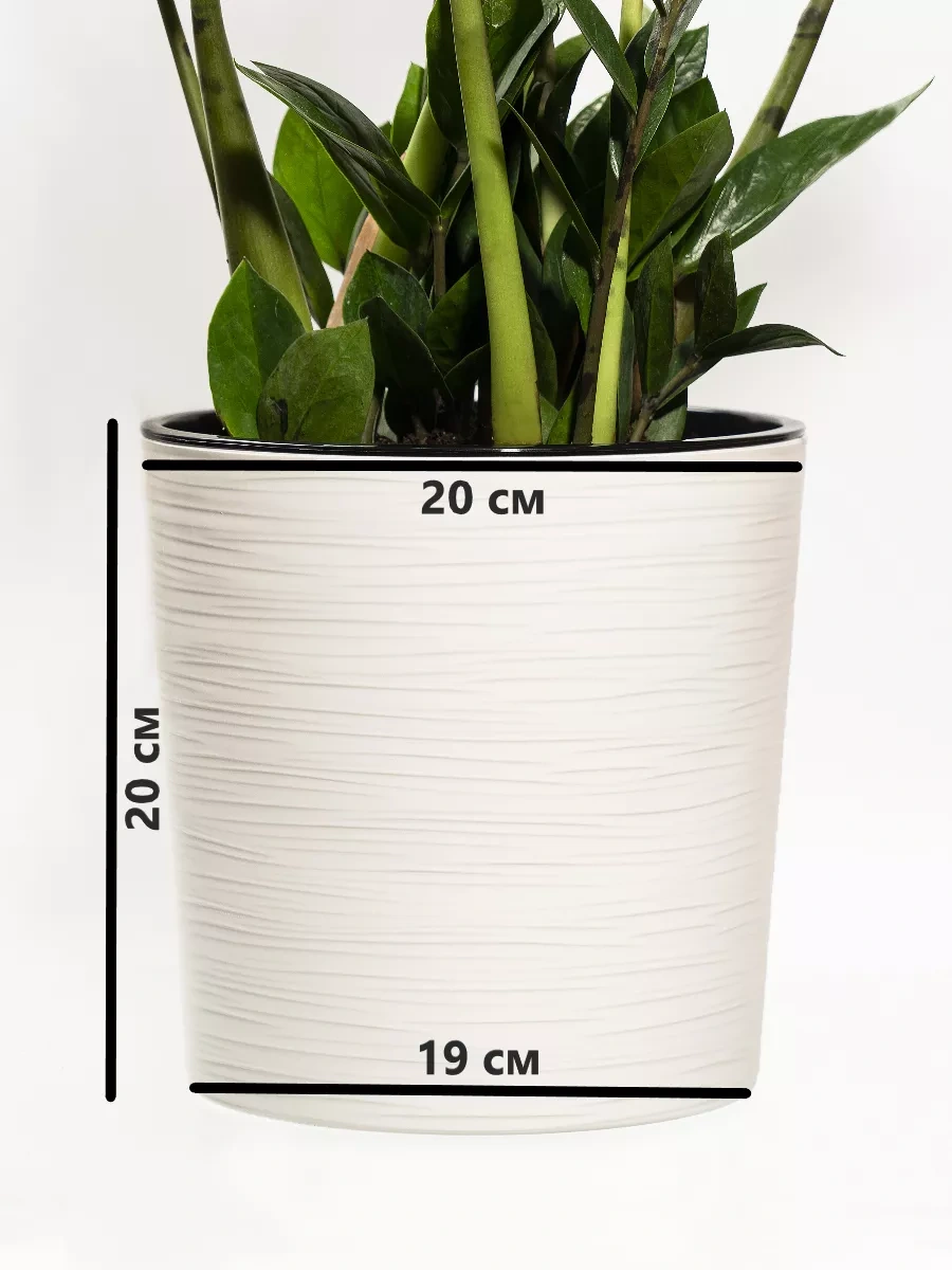 Live-in-green Otomatik Sulamalı Saksı, Yer Saksısı 165191213