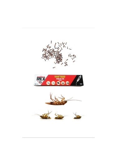 Rex Çok Etkili Hamamböceği Ve Karınca Jel Yem 20 G