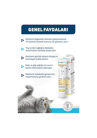 Onevet Multi Vitamin Paste Kedi Maltı 100 Gr
