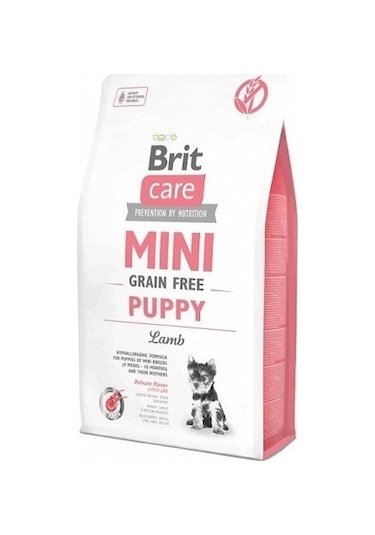 Brit Care Mini Tahılsız Kuzu Etli Küçük Irk Yavru Köpek Maması 2 KG