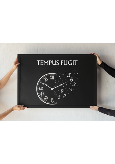 Zaman Uçar Çerçeveli Tablo Tempus Fugit Latin Alıntılı Felsefi Ve Sanatsal Duvar Dekoru 30x42 Cm