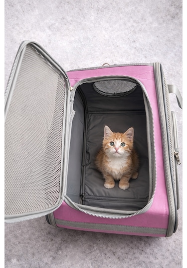 Premium Fileli Nefes Alabilir Pembe Kedi Taşıma Çantası