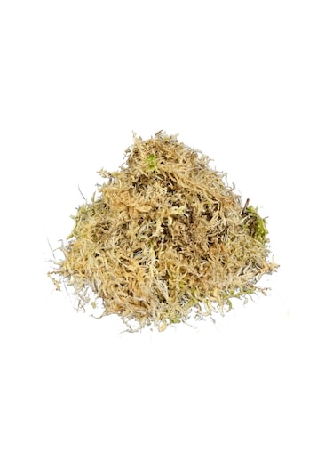 Sphagnum Yosunu 10 Lt