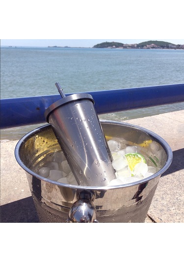 Samdoo 500ml 304 Çelik Termos Bardak, İçecek Su Için, Portatif, Pipetli Kapağıyla, Gümüş Renkli, Ofis Hediyesi