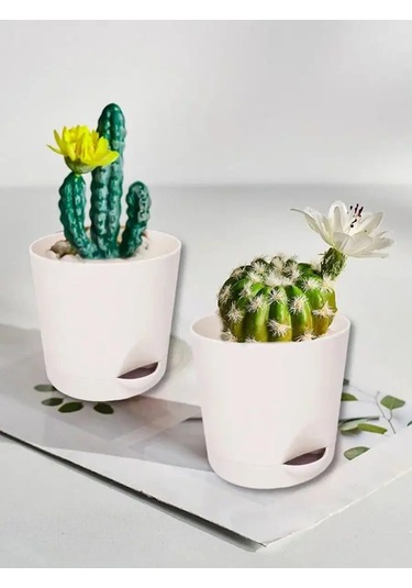 Interm Menekşeler, Sukulentler Ve Kaktüsler İçin Küçük Çiçek Saksısı 52390371