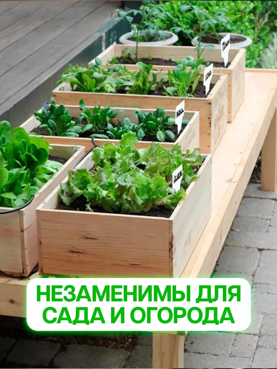 Domsadmarket Fide Ve Bitkiler İçin Bahçe Tabelaları 100 Ad 154102602