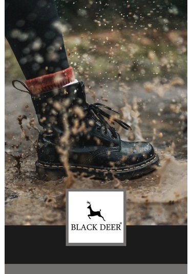 Black Deer Su ve Kir İtici Ayakkabı Bakım Spreyi Ayakkabı Koruyucu Sprey 250 ML Çok Renkli