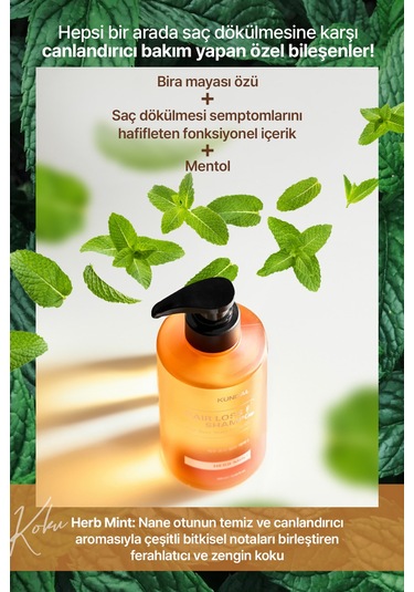 Saç Dökülmelerine Karşı Şampuan Kundal Hair Loss Relief Shampoo Real Beer Yeast 500 Ml Herb Mint