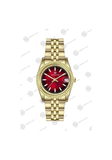 Momentus Women's Classy Cw132g-16sg Gümüş