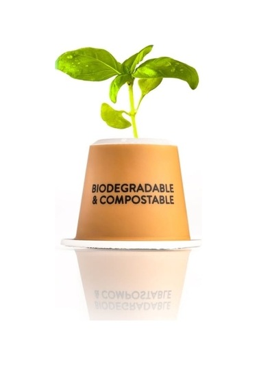 Vero Amore Nespresso Makinesine Uyumlu Kapsül Kahve 10'lu