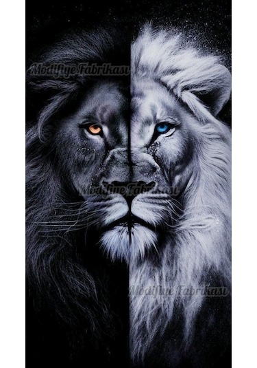 Araç Kapı Direği Kaplama Folyosu Uv Baskılı 2'li Set-aslan Desn