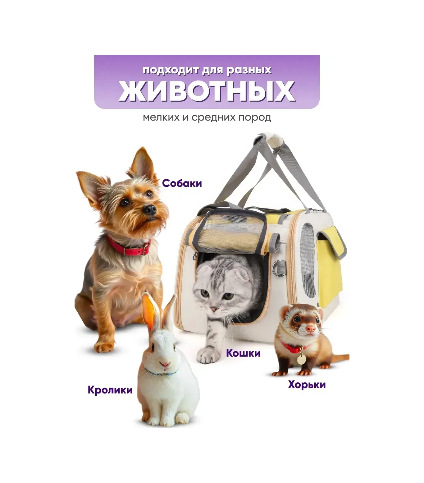 Komfort Pitomca Kedi Ve Küçük Irk Köpekler İçin Taşıma Çantası Hayvan Çantası 371186357