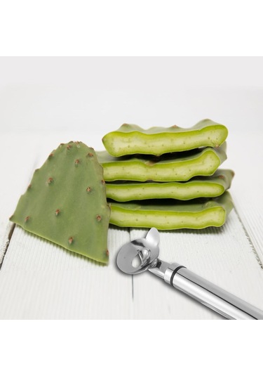Reedark Paslanmaz Çelik Kaktüs Soyucu - Uzun Saplı Mutfak Aleti 19x4.8 Cm - Sebze Meyve Soyma Ve Dilimleme Aracı