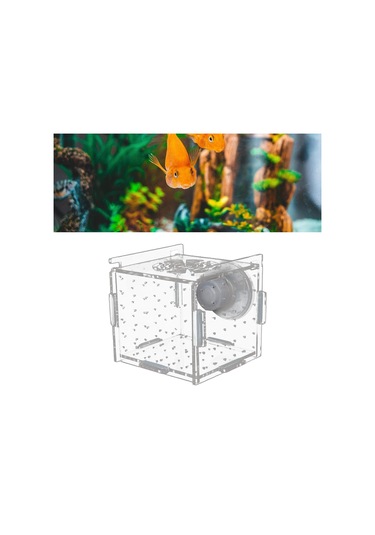 Magideal Suntek Akvaryum Balık Yetiştirici Kutu