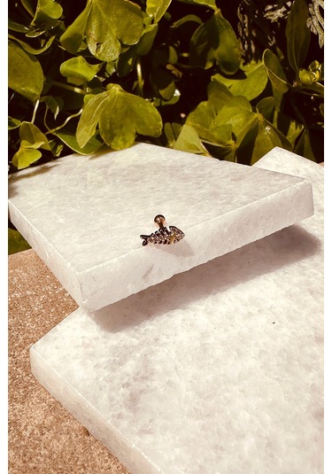 Balık Tasarım Özel Tasarım Rose Gold Renk Stainless Steel Çelik Tragus Helix Piercing