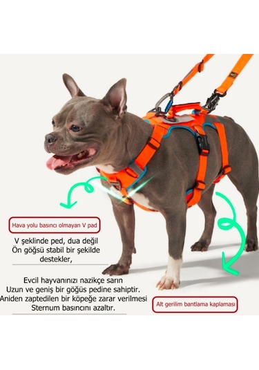 Interlaken Earthtech Slim 3.0 Köpek Göğüs Tasması Mavi - Turuncu M Mavi - Turuncu